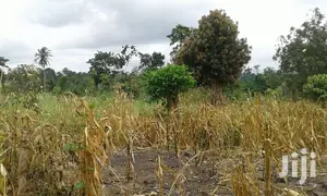 Farmlands,Residential Lands and Cocoa Farmlands