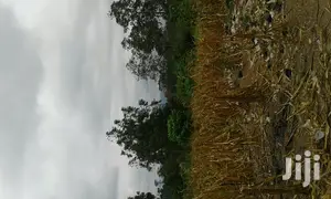 Farmlands,Residential Lands and Cocoa Farmlands