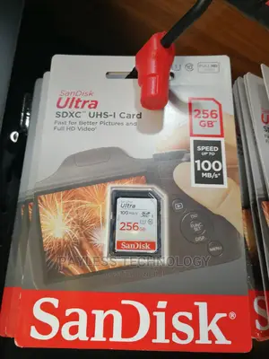 Sandisk 256gb Camera Memory Card