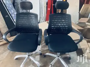 Swivel/Office Chair With Head/Neck Rest