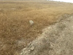 Best Area Land