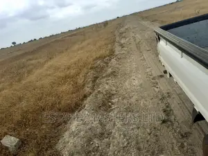 Best Area Land