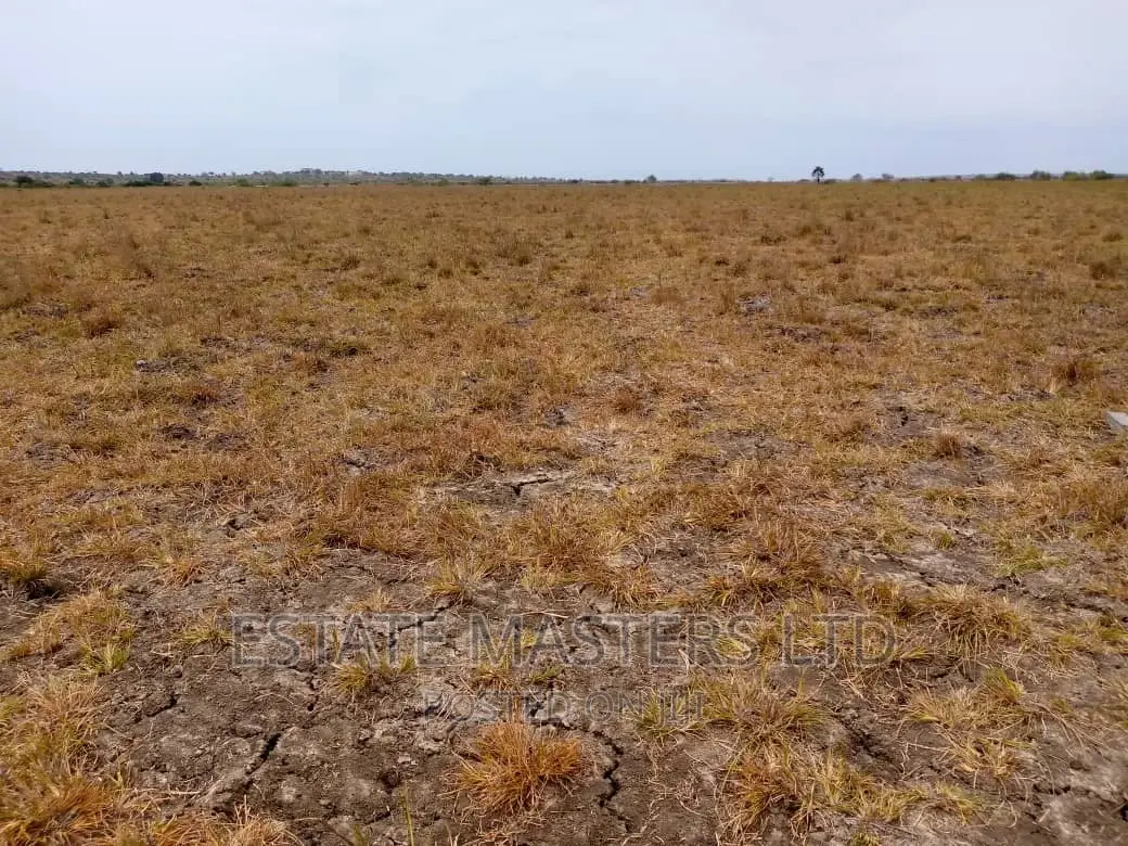 Top Executive Plots Near Central University