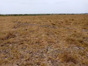 Flexible Installment Land!