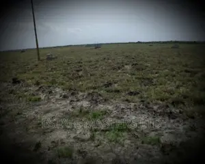 Water Logged Free Land