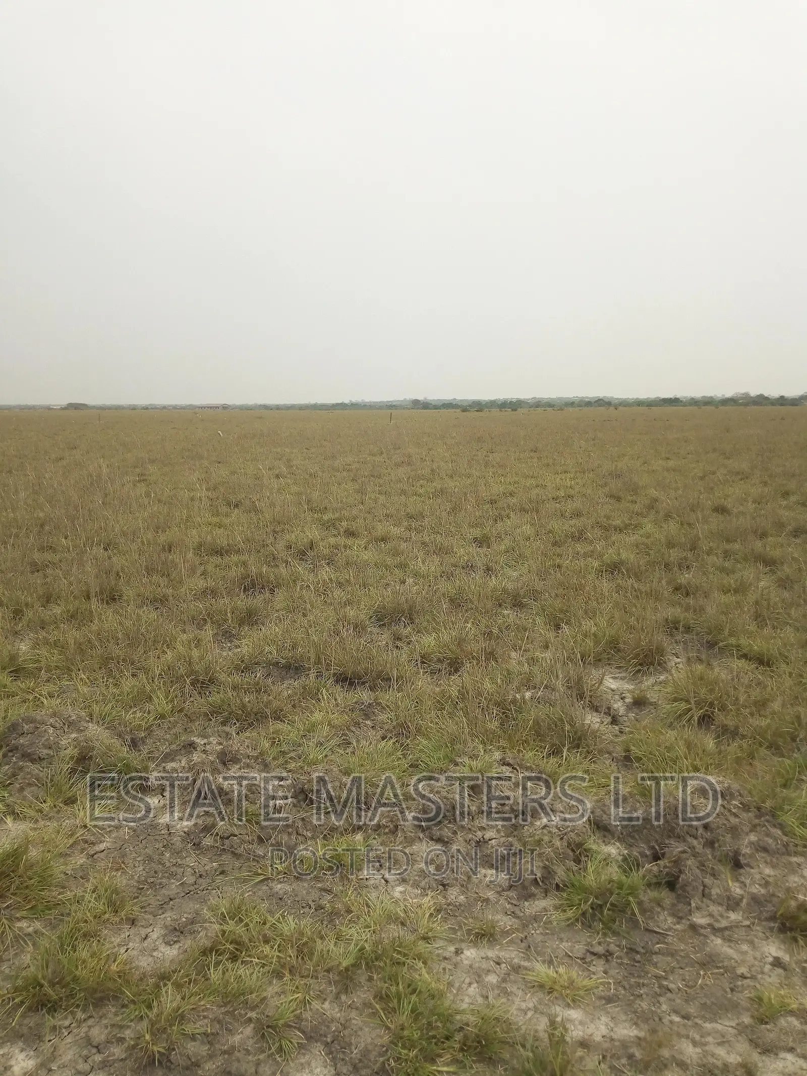 All Purpose Land