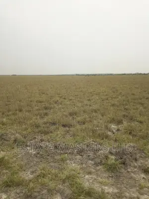 All Purpose Land
