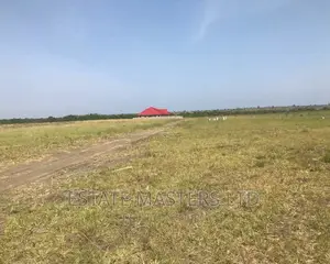 Top Executives Area Plot