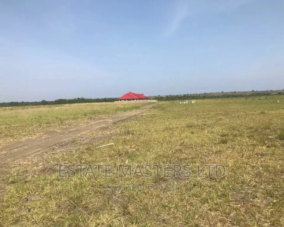 Top Executives Area Plot