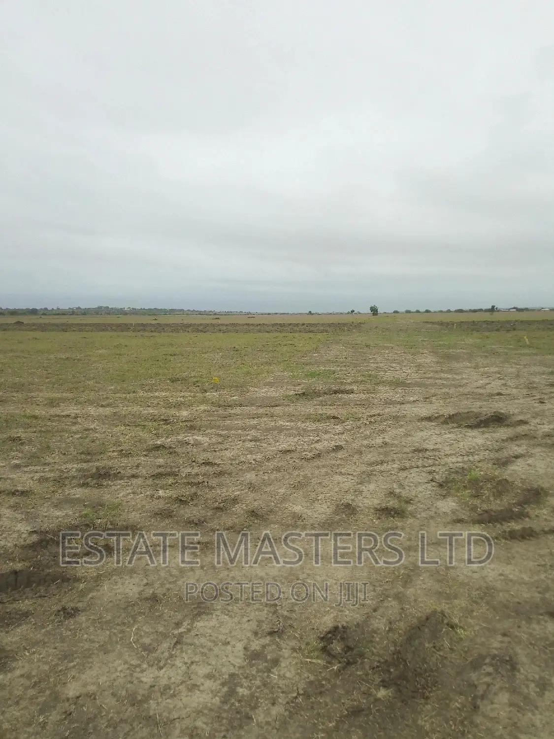 Airport City Land