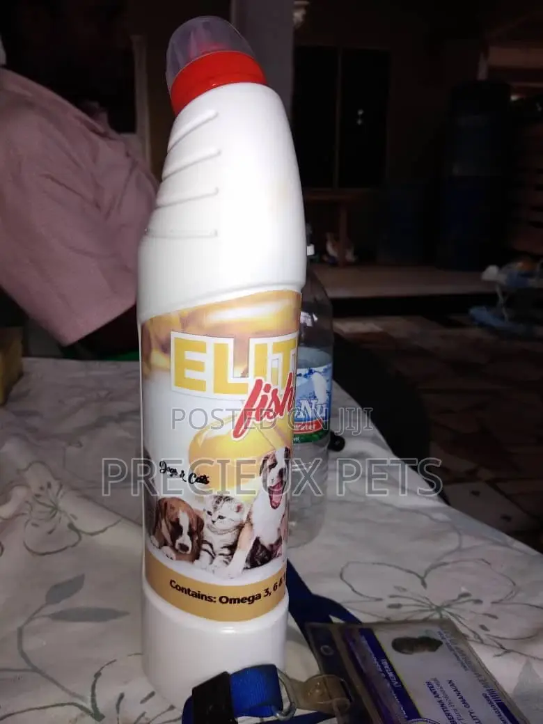 Fish Oil for Dogs Cats