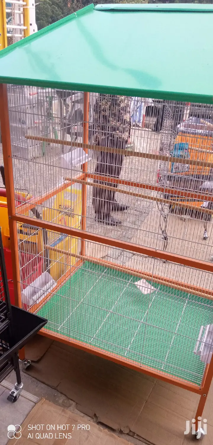 Big Parrot Cage