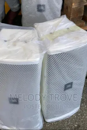 12 Inches Passive Speakers