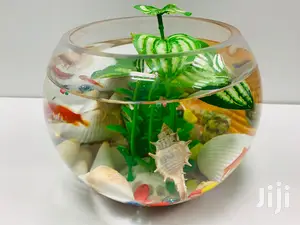 Fish Bowls