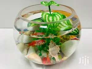 Fish Bowls