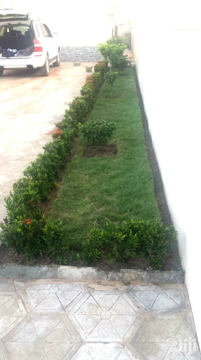 Gardening (Green Grass Growing/Installation) Services