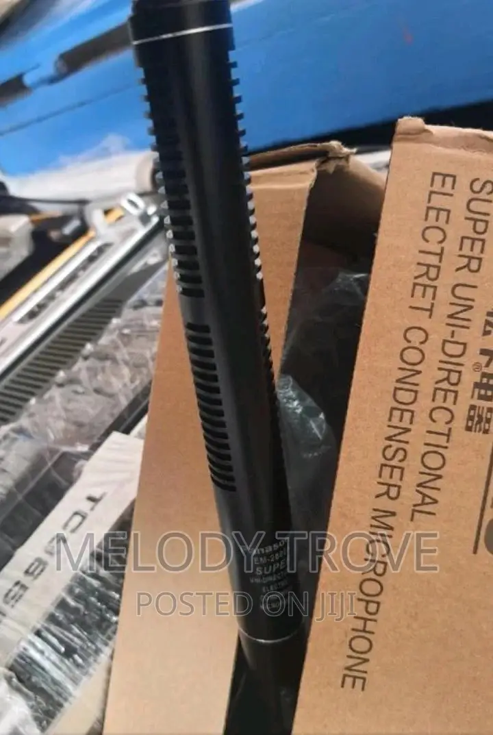 Boom Condenser Microphone