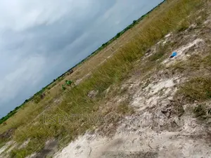 Valuable Area Land