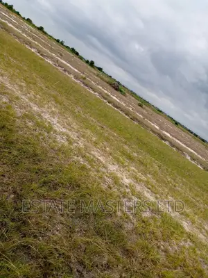 Valuable Area Land