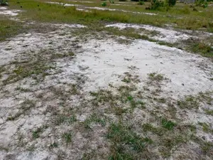 Finest Location