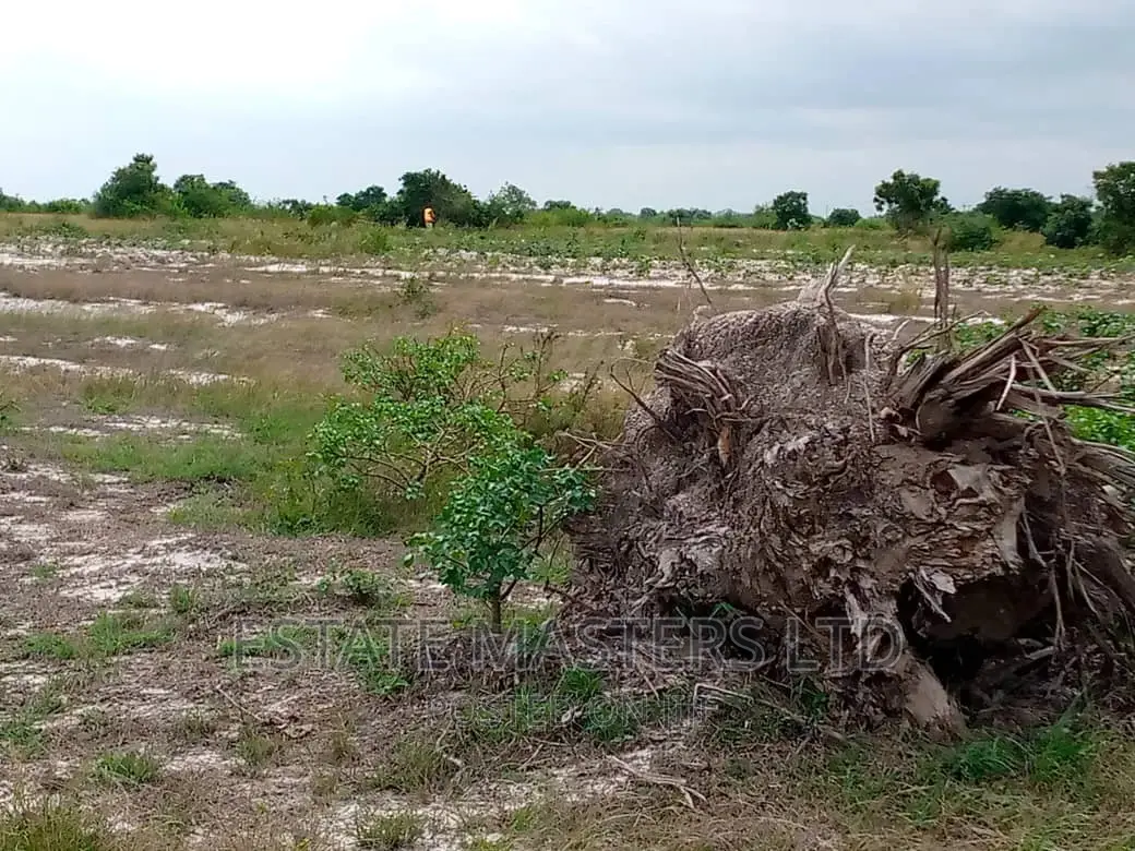 Residential Plots Available at Tsopoli