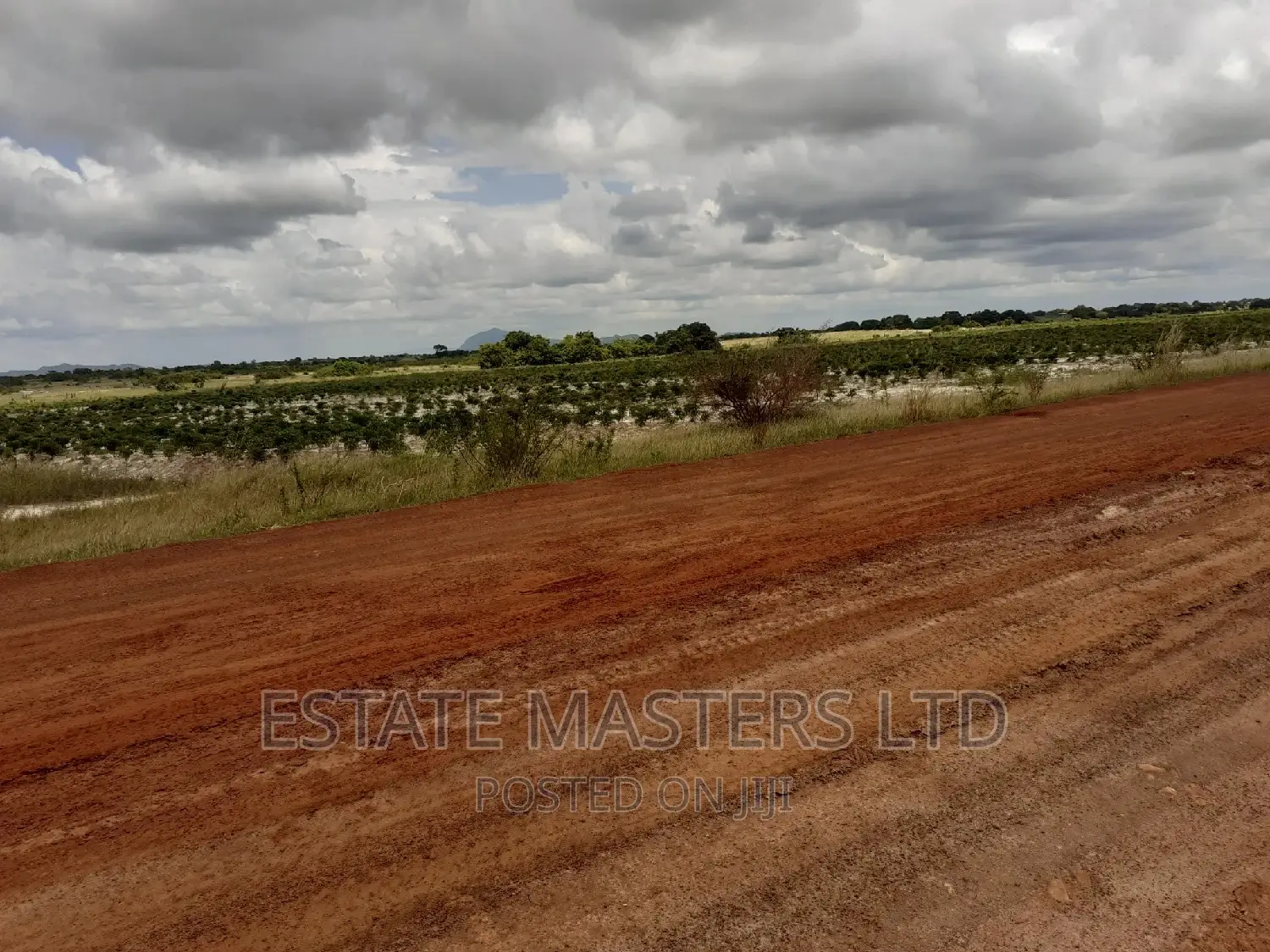 Ideal Serviced Plot