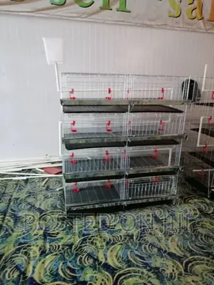 Plastic Waste Tray