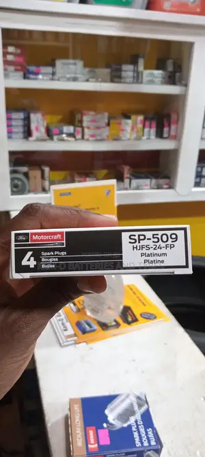 Motorcraft Spark Plug Sp-509 HJFS-24-Fp + Delivery