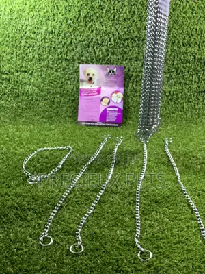 Choker For Puppy Large Dogs And Adult Toy Dogs