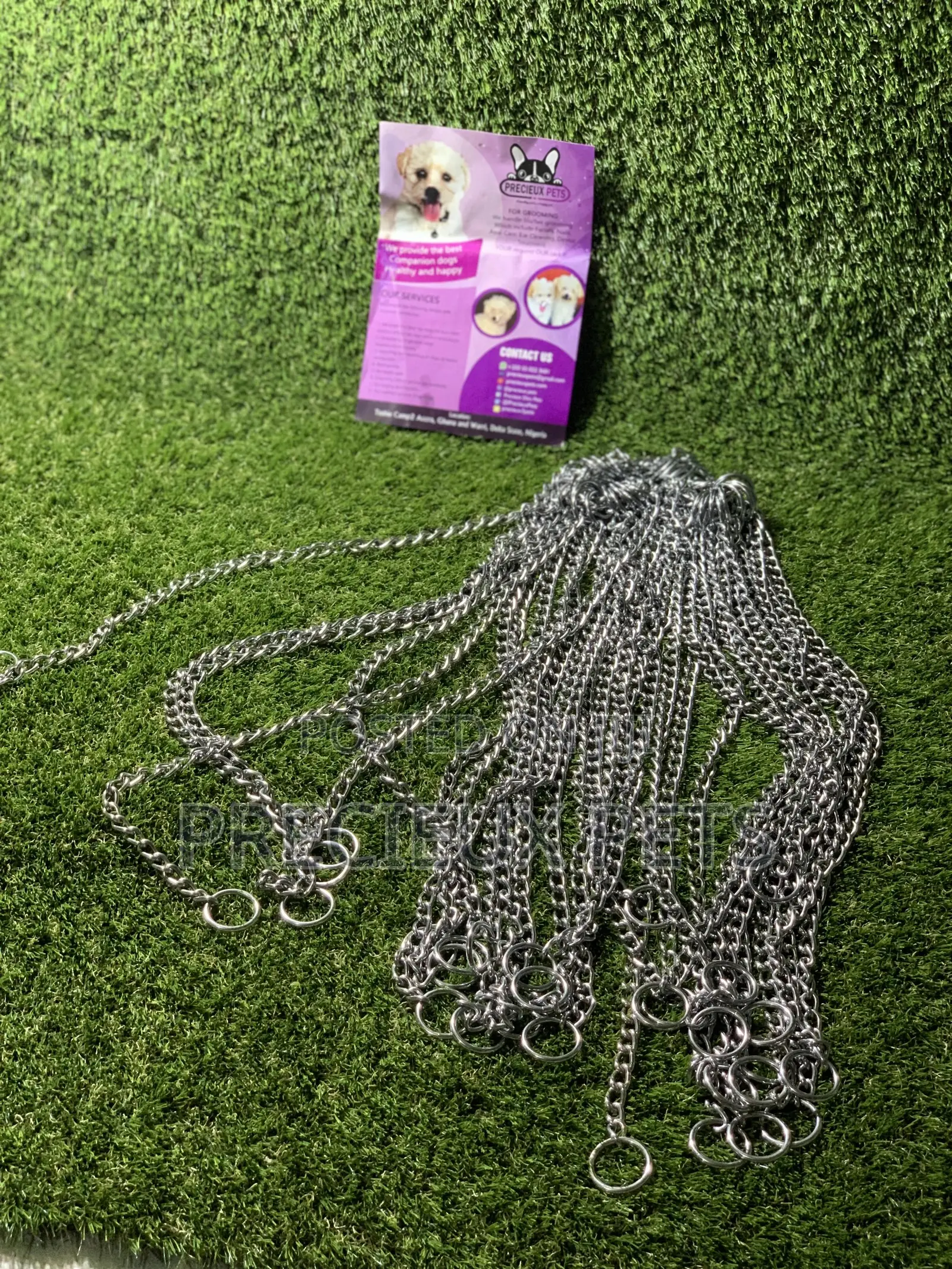 Choker For Puppy Large Dogs And Adult Toy Dogs