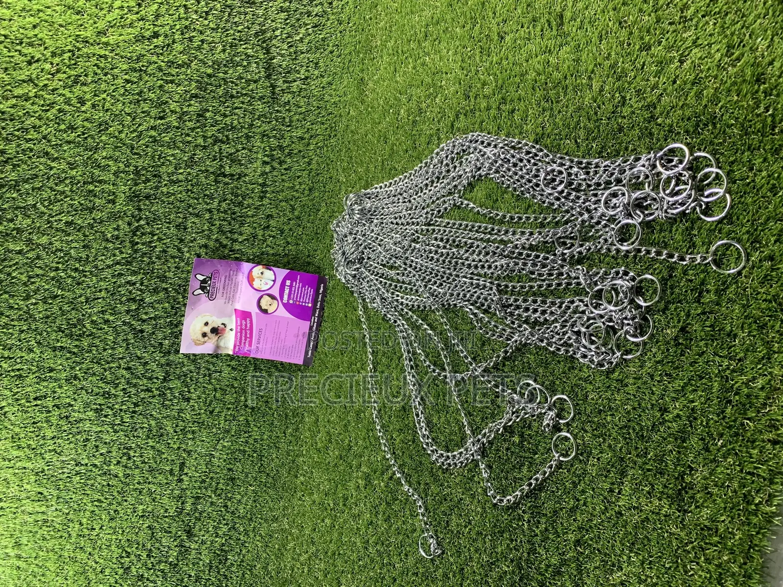 Choker For Puppy Large Dogs And Adult Toy Dogs