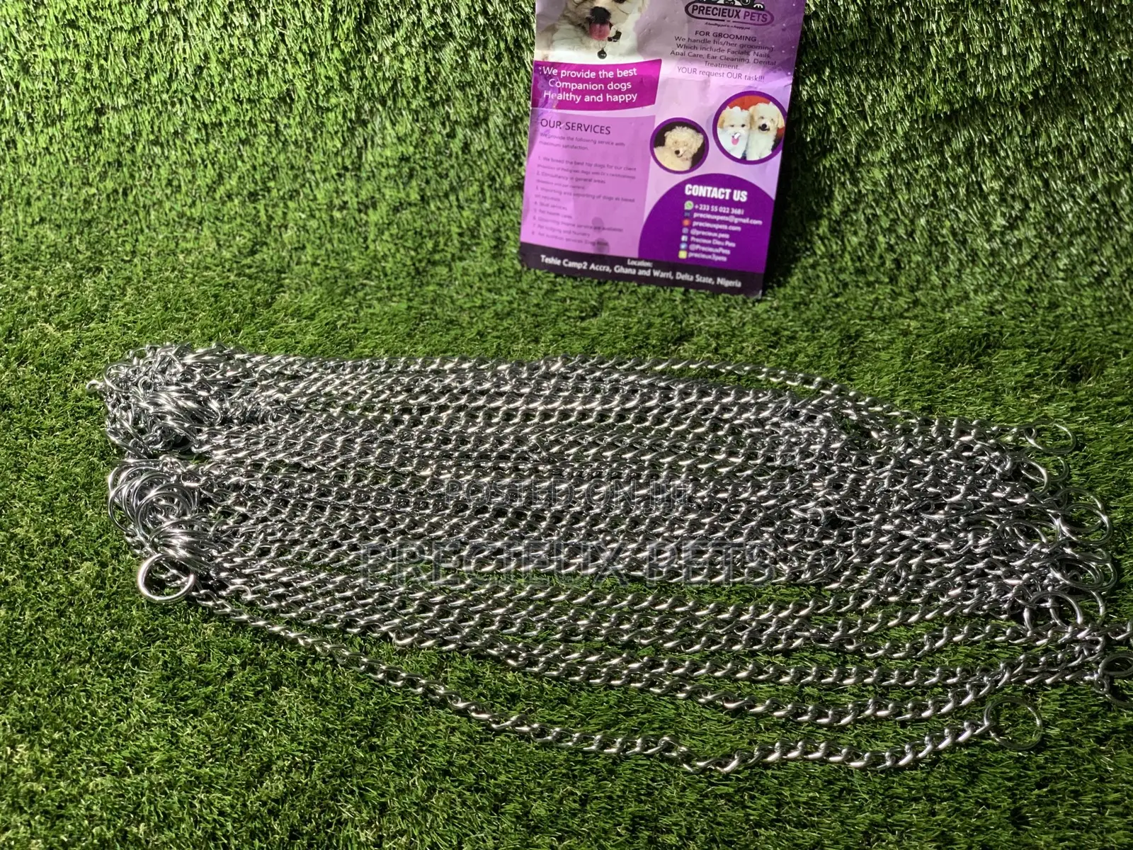 Choker For Puppy Large Dogs And Adult Toy Dogs