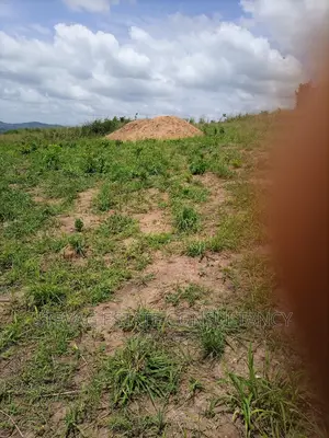 Alpha Properties Land at Ojobi Kweikrom for Sale
