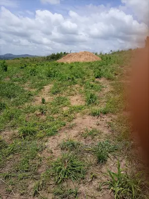 Alpha Properties Land at Ojobi Kweikrom for Sale