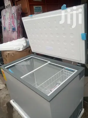 Icestream Freezer- 316ltrs