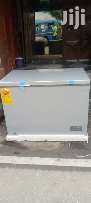 Icestream Freezer- 316ltrs