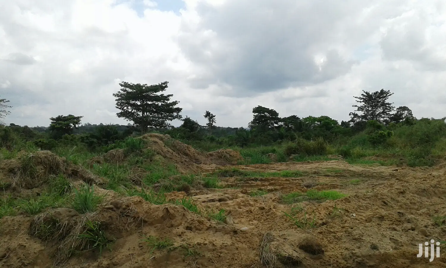 Farmlands,Residential Lands and Cocoa Farmlands