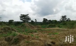 Farmlands,Residential Lands and Cocoa Farmlands