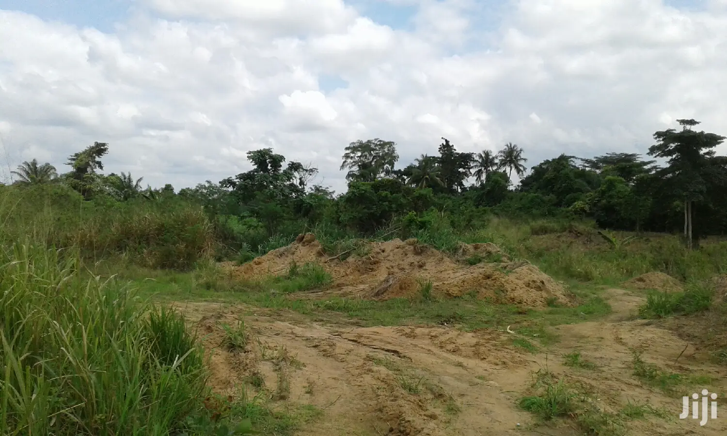 Farmlands,Residential Lands and Cocoa Farmlands