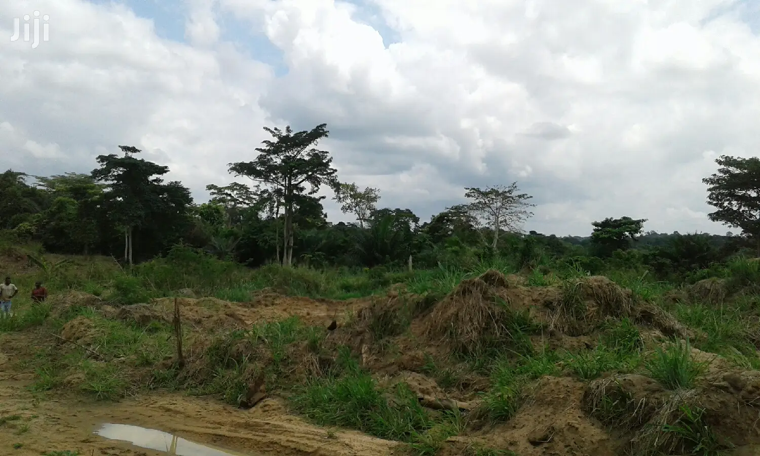 Farmlands,Residential Lands and Cocoa Farmlands