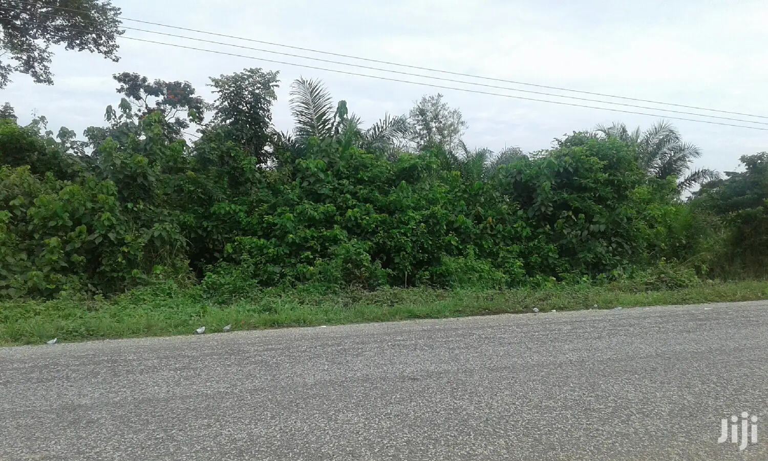Farmlands,Residential Lands and Cocoa Farmlands