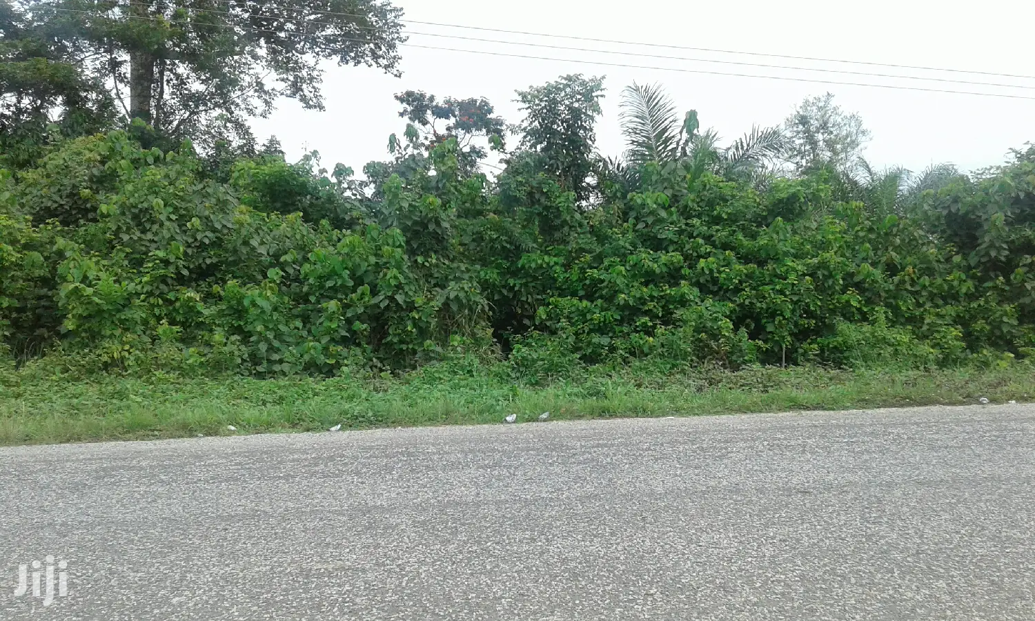 Farmlands,Residential Lands and Cocoa Farmlands