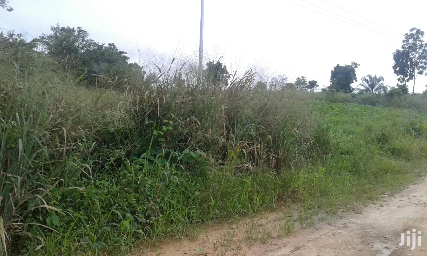 Farmlands,Residential Lands and Cocoa Farmlands