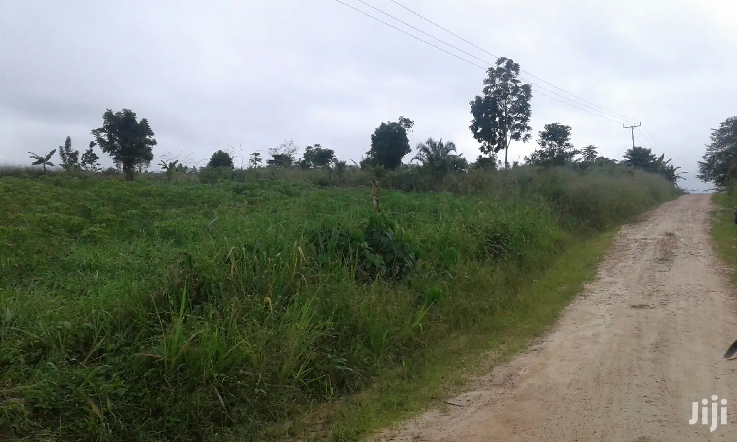Farmlands,Residential Lands and Cocoa Farmlands