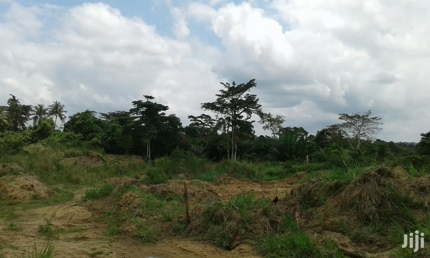 Farmlands,Residential Lands and Cocoa Farmlands