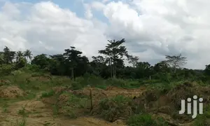 Farmlands,Residential Lands and Cocoa Farmlands