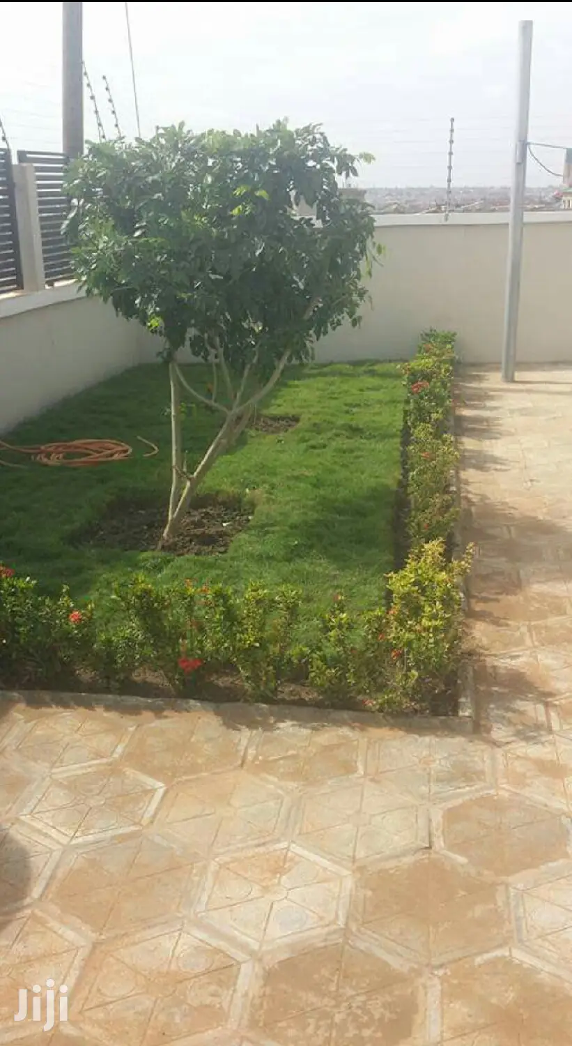 Gardening (Green Grass Growing/Installation) Services