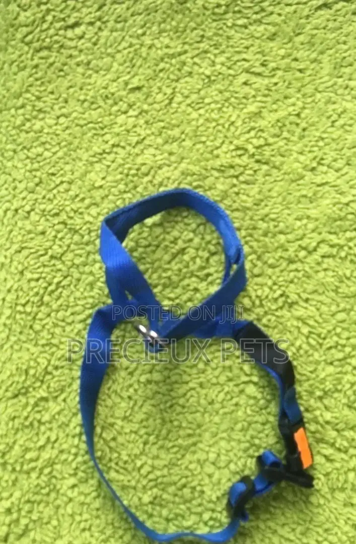 Toy Dog Harness #1
