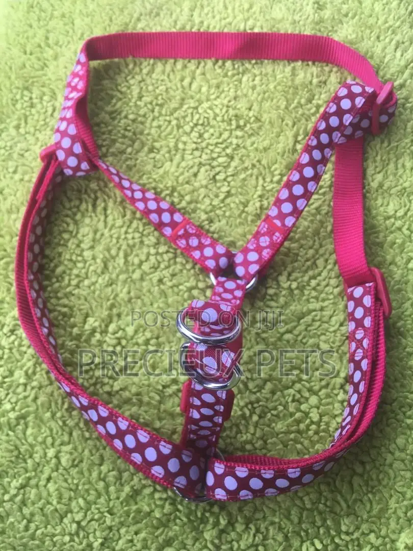 Toy Dog Harness #2