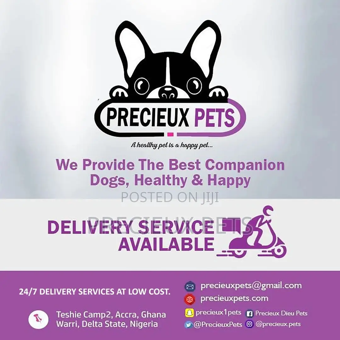 Delivery Bike For Pets And Pets Accessories